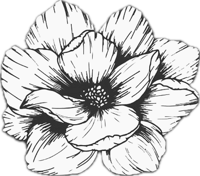 Fiori Resorts Logo