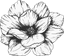 Fiori Resorts Logo